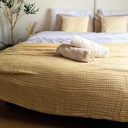 Contemporary One-bedroom Lausanne