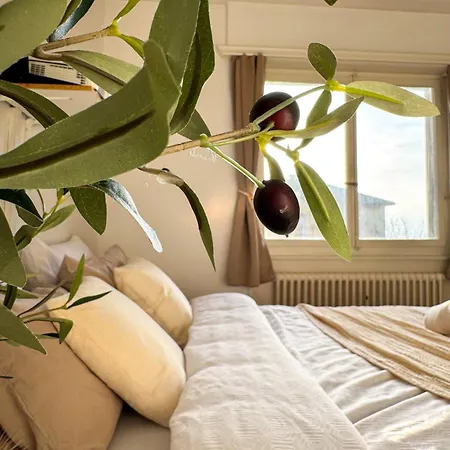 Contemporary One-bedroom Lausanne 아파트