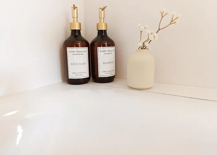 Contemporary One-bedroom Lausanne Apartament Prilly