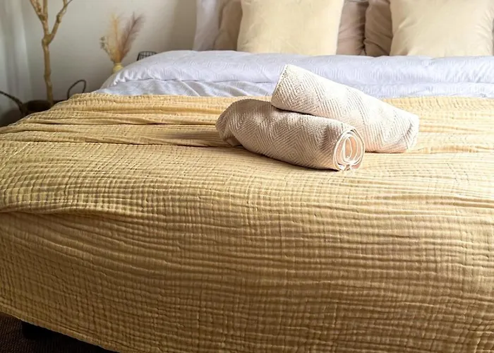 Contemporary One-bedroom Lausanne