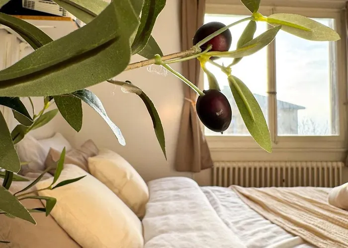 Contemporary One-bedroom Lausanne 公寓