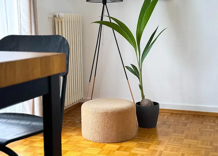 公寓 Contemporary One-bedroom Lausanne