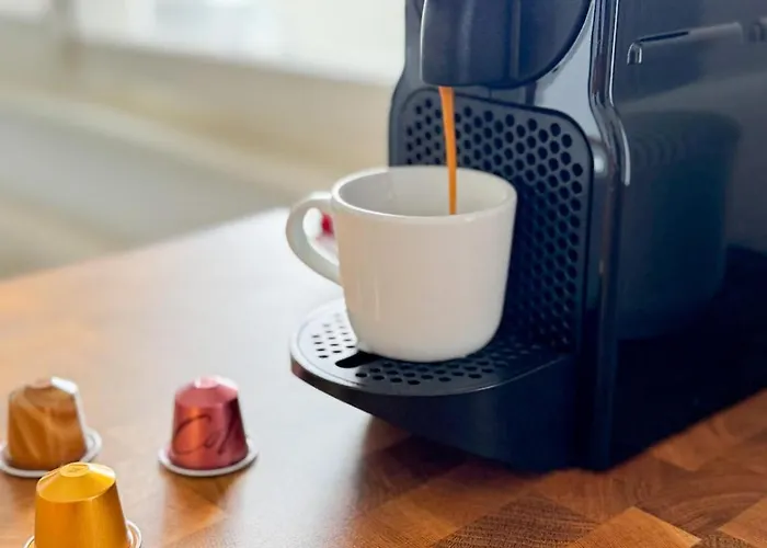 Contemporary One-bedroom Lausanne 公寓 *